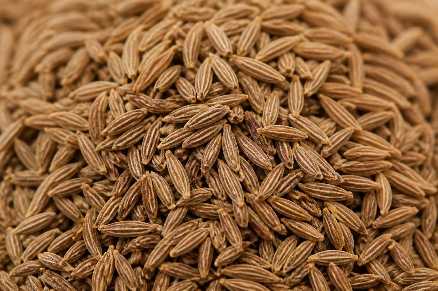 Cumin Seeds