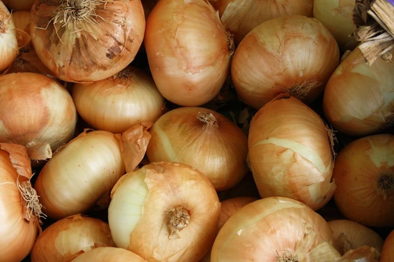 Export Grade Red & Yellow Onions