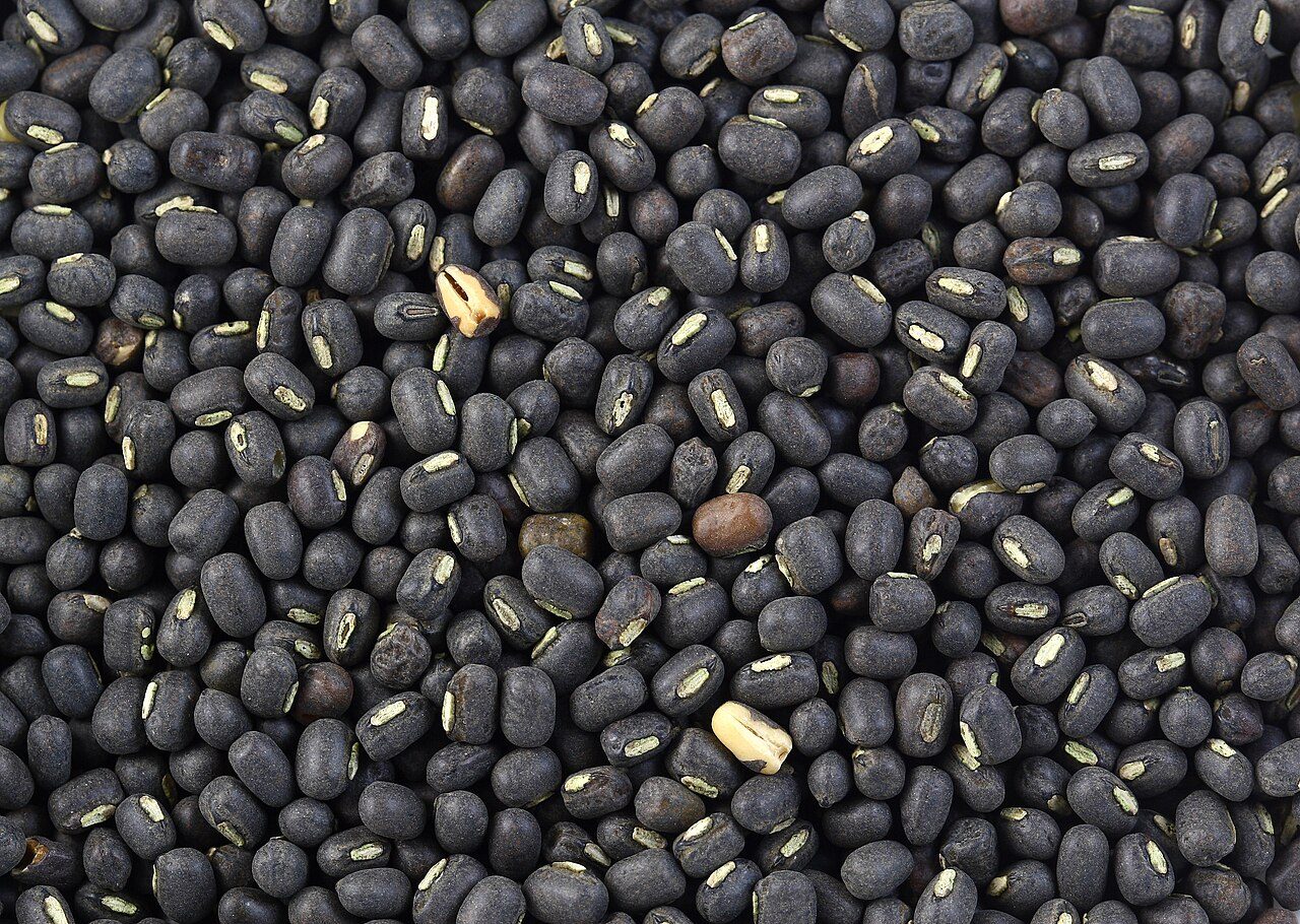 Urad Dal (Black Gram)